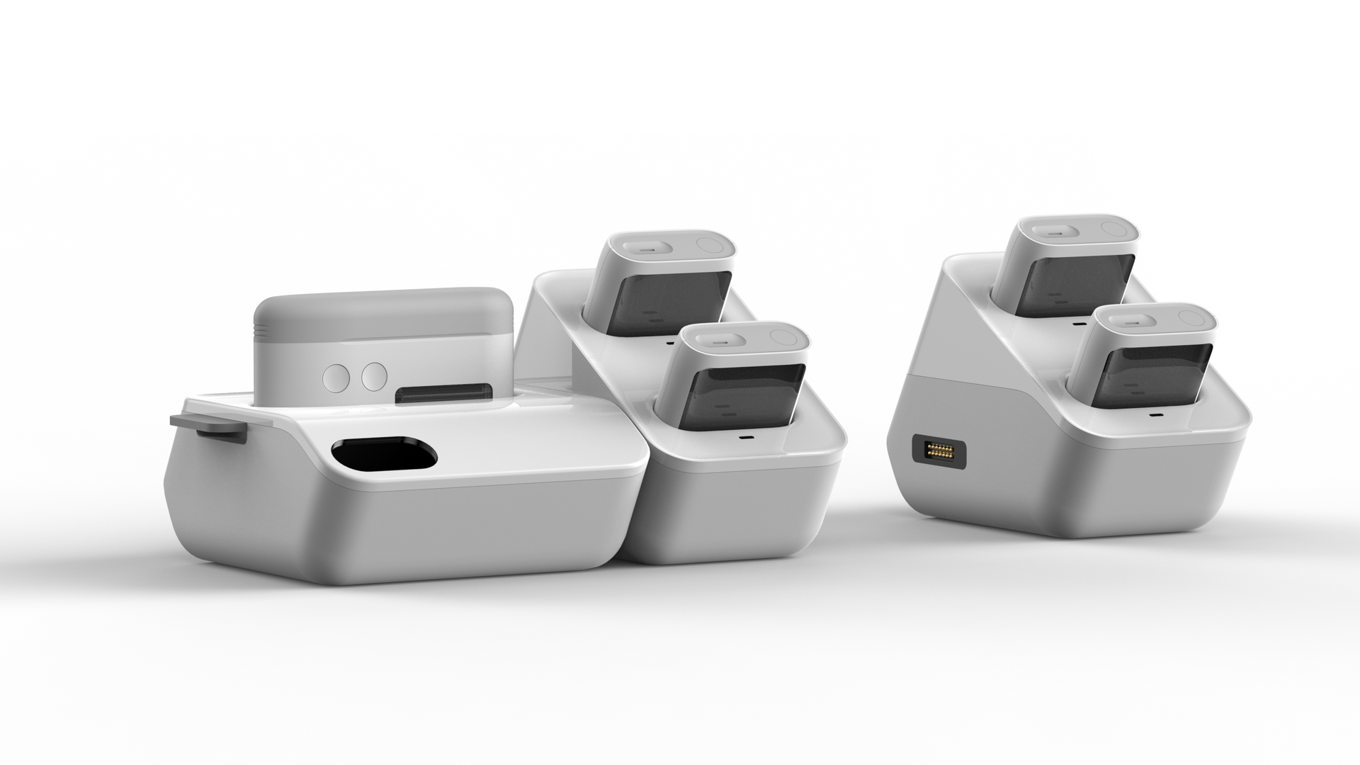 Aponex dock family